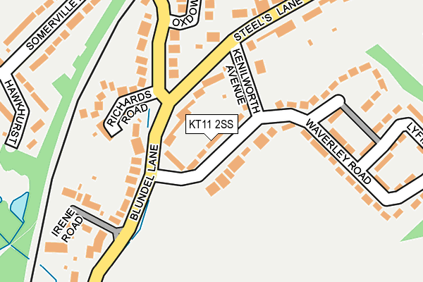KT11 2SS map - OS OpenMap – Local (Ordnance Survey)