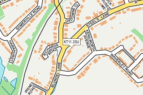 KT11 2SU map - OS OpenMap – Local (Ordnance Survey)