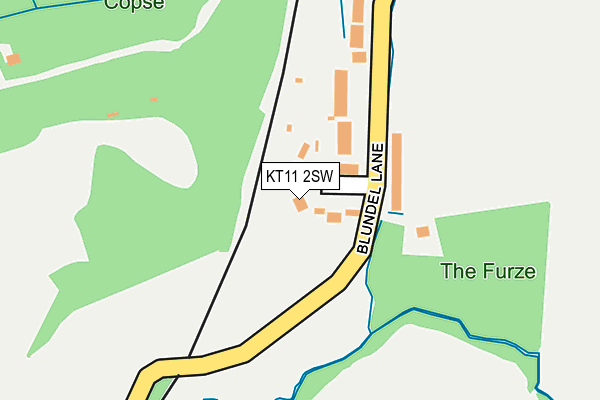 KT11 2SW map - OS OpenMap – Local (Ordnance Survey)