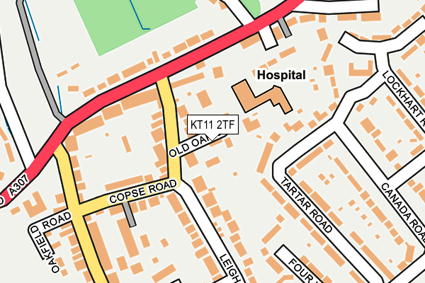 KT11 2TF map - OS OpenMap – Local (Ordnance Survey)