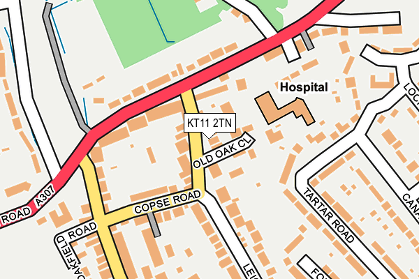 KT11 2TN map - OS OpenMap – Local (Ordnance Survey)