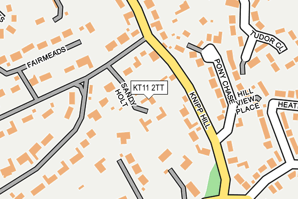 KT11 2TT map - OS OpenMap – Local (Ordnance Survey)
