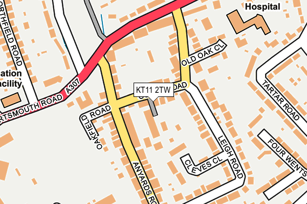 KT11 2TW map - OS OpenMap – Local (Ordnance Survey)