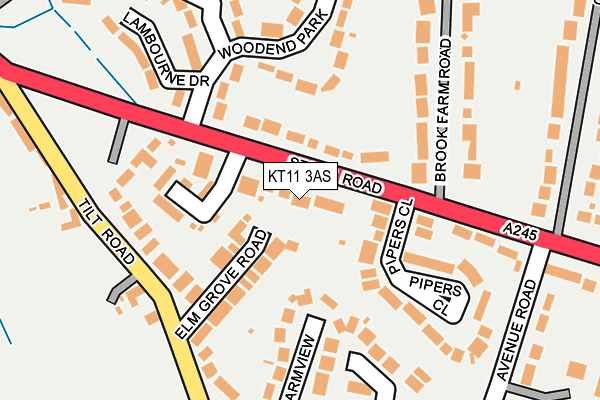 KT11 3AS map - OS OpenMap – Local (Ordnance Survey)