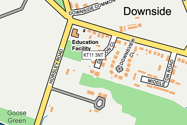 KT11 3NT map - OS OpenMap – Local (Ordnance Survey)