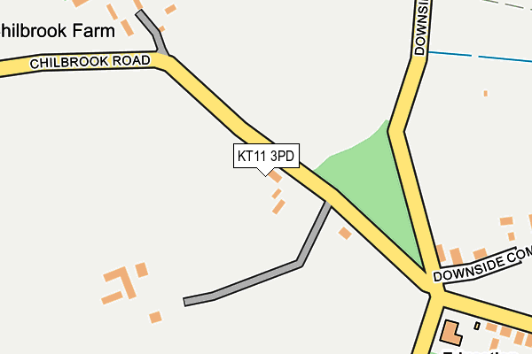 KT11 3PD map - OS OpenMap – Local (Ordnance Survey)