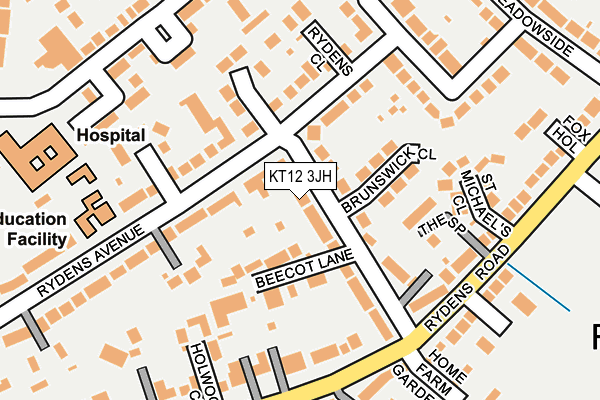 KT12 3JH map - OS OpenMap – Local (Ordnance Survey)