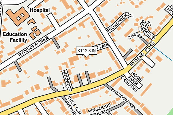 KT12 3JN map - OS OpenMap – Local (Ordnance Survey)