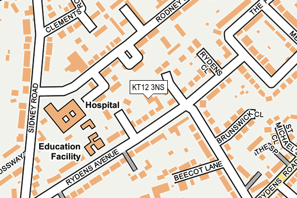 KT12 3NS map - OS OpenMap – Local (Ordnance Survey)