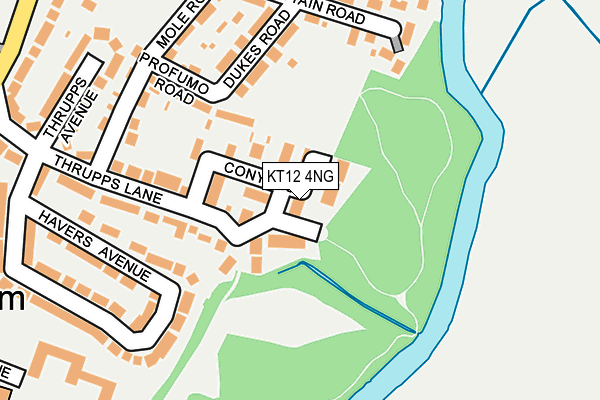 KT12 4NG map - OS OpenMap – Local (Ordnance Survey)
