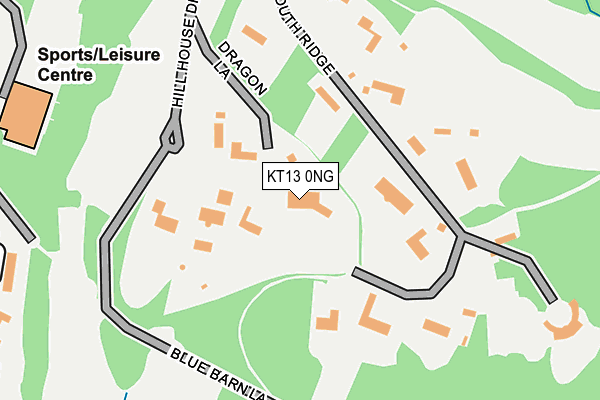 KT13 0NG map - OS OpenMap – Local (Ordnance Survey)