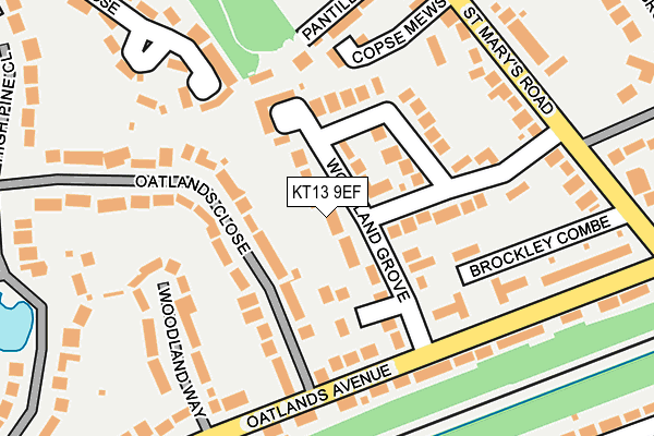 KT13 9EF map - OS OpenMap – Local (Ordnance Survey)