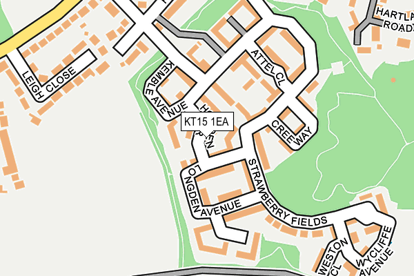 KT15 1EA map - OS OpenMap – Local (Ordnance Survey)