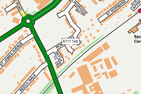 KT17 1AS map - OS OpenMap – Local (Ordnance Survey)