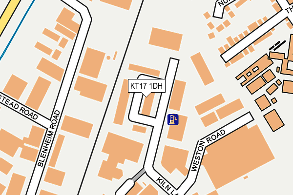KT17 1DH map - OS OpenMap – Local (Ordnance Survey)