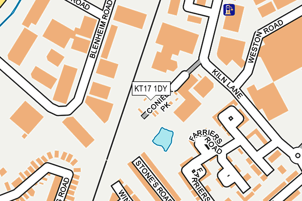 KT17 1DY map - OS OpenMap – Local (Ordnance Survey)