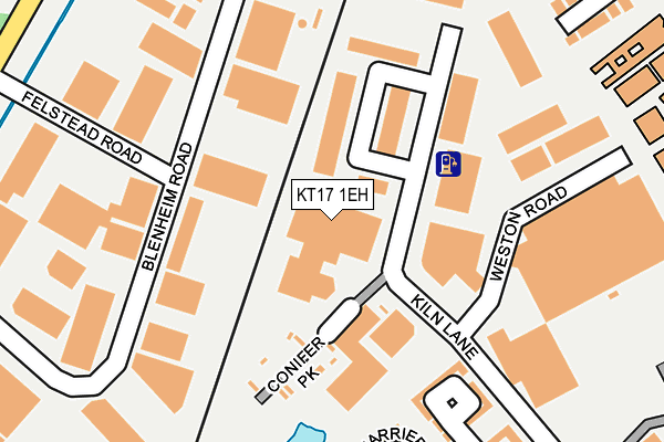 KT17 1EH map - OS OpenMap – Local (Ordnance Survey)