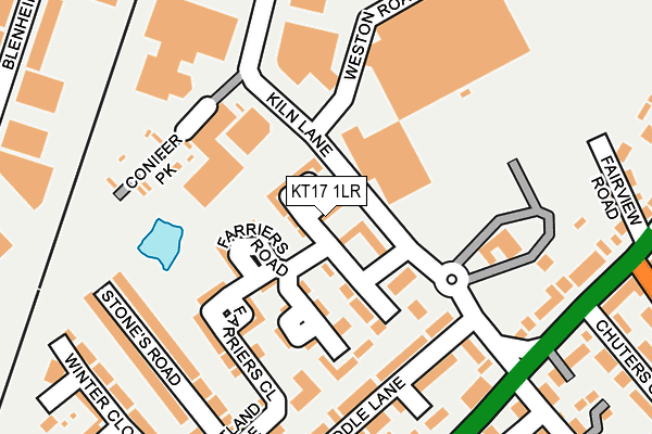 KT17 1LR map - OS OpenMap – Local (Ordnance Survey)