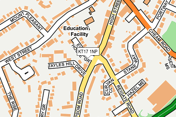 KT17 1NP map - OS OpenMap – Local (Ordnance Survey)