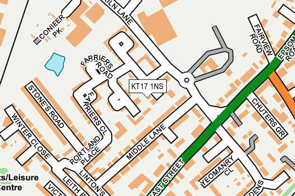 KT17 1NS map - OS OpenMap – Local (Ordnance Survey)