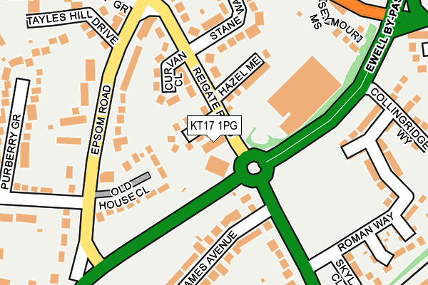 KT17 1PG map - OS OpenMap – Local (Ordnance Survey)