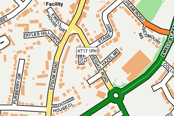 KT17 1PH map - OS OpenMap – Local (Ordnance Survey)