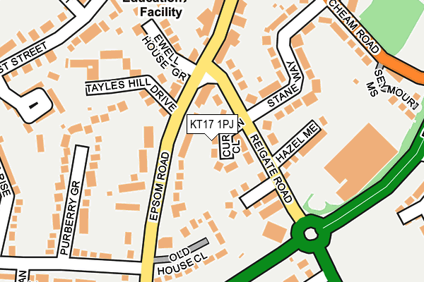 KT17 1PJ map - OS OpenMap – Local (Ordnance Survey)