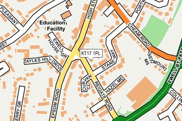 KT17 1PL map - OS OpenMap – Local (Ordnance Survey)