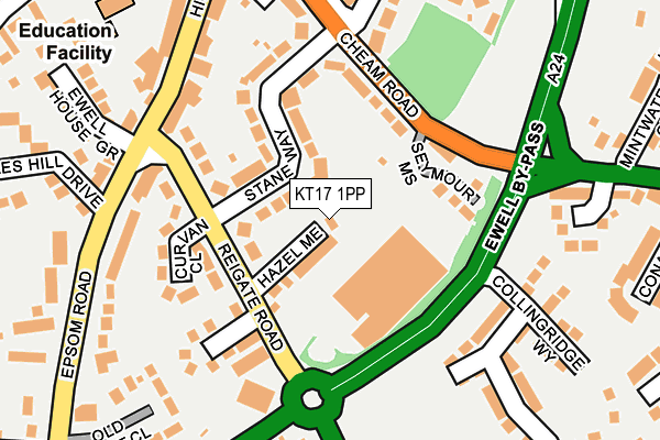 KT17 1PP map - OS OpenMap – Local (Ordnance Survey)