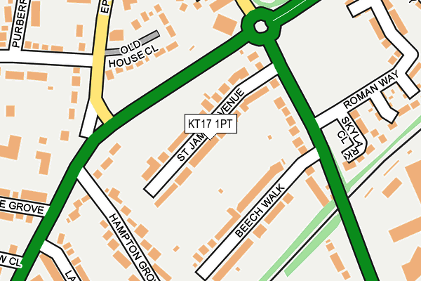 KT17 1PT map - OS OpenMap – Local (Ordnance Survey)