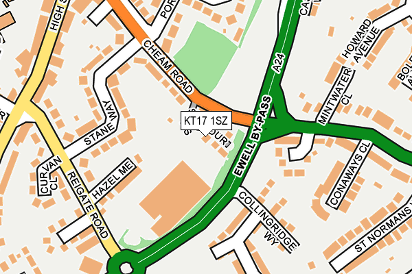 KT17 1SZ map - OS OpenMap – Local (Ordnance Survey)