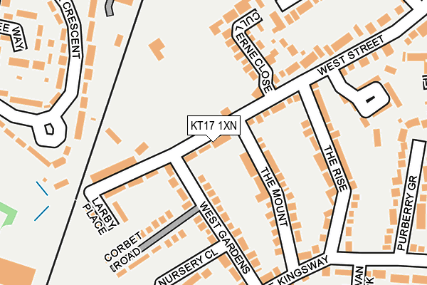 KT17 1XN map - OS OpenMap – Local (Ordnance Survey)