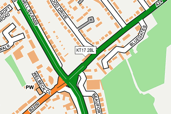 KT17 2BL map - OS OpenMap – Local (Ordnance Survey)