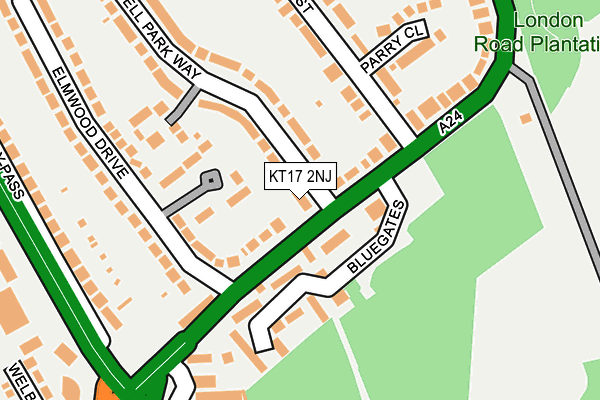 KT17 2NJ map - OS OpenMap – Local (Ordnance Survey)