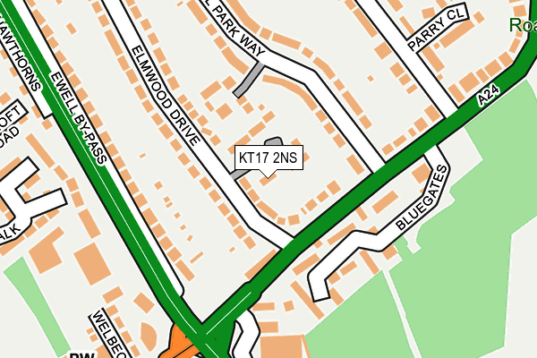 KT17 2NS map - OS OpenMap – Local (Ordnance Survey)