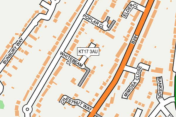 KT17 3AU map - OS OpenMap – Local (Ordnance Survey)