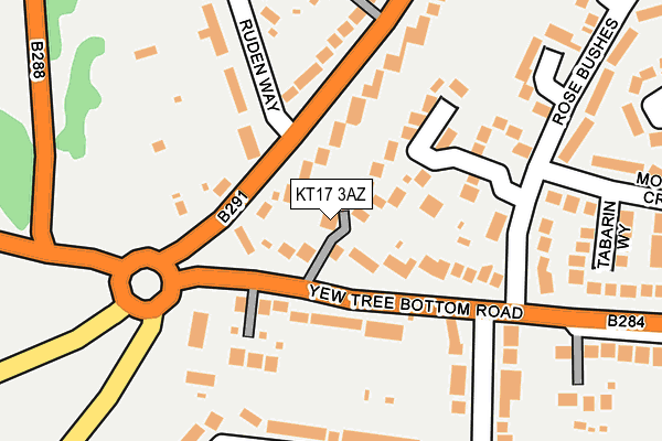KT17 3AZ map - OS OpenMap – Local (Ordnance Survey)