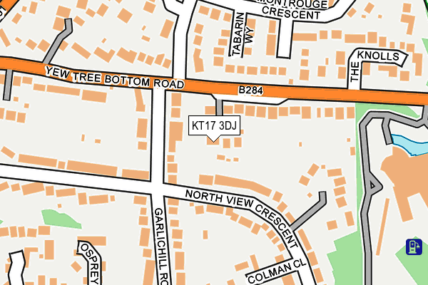 KT17 3DJ map - OS OpenMap – Local (Ordnance Survey)