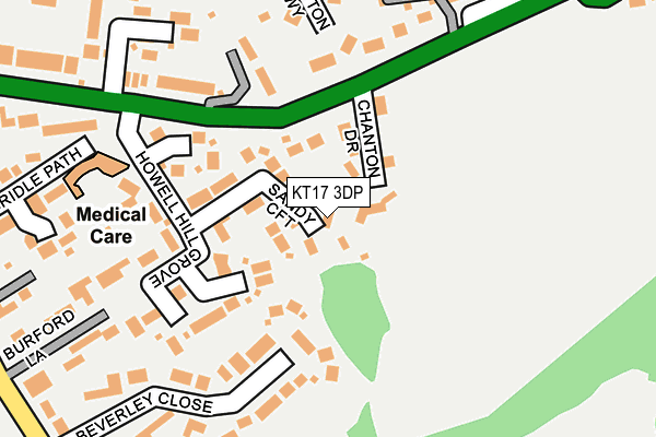 KT17 3DP map - OS OpenMap – Local (Ordnance Survey)