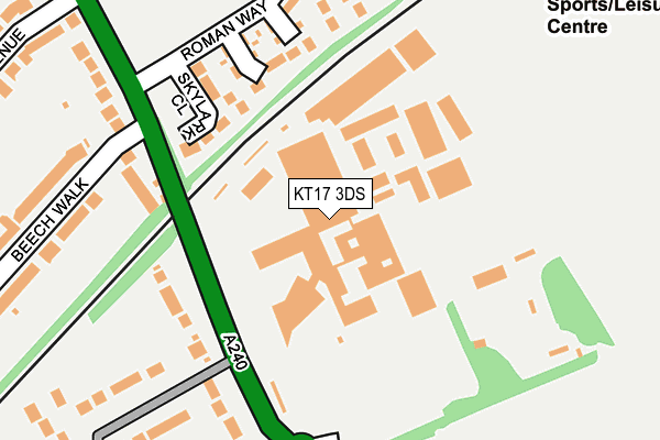 KT17 3DS map - OS OpenMap – Local (Ordnance Survey)