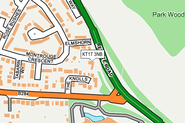 KT17 3NB map - OS OpenMap – Local (Ordnance Survey)
