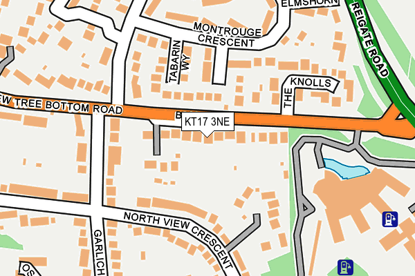 KT17 3NE map - OS OpenMap – Local (Ordnance Survey)
