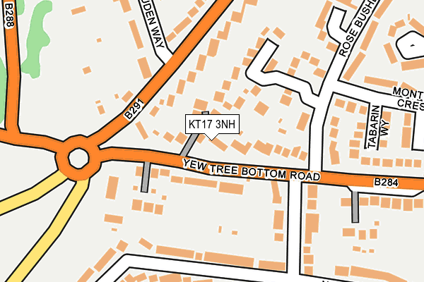 KT17 3NH map - OS OpenMap – Local (Ordnance Survey)