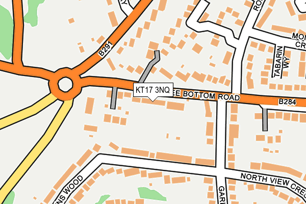 KT17 3NQ map - OS OpenMap – Local (Ordnance Survey)