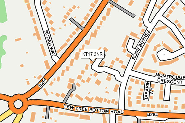 KT17 3NR map - OS OpenMap – Local (Ordnance Survey)