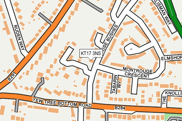 KT17 3NS map - OS OpenMap – Local (Ordnance Survey)