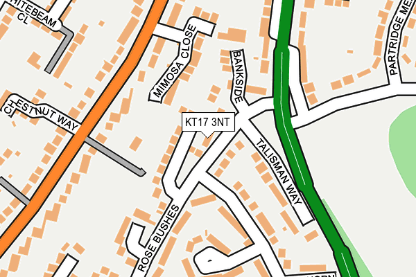 KT17 3NT map - OS OpenMap – Local (Ordnance Survey)