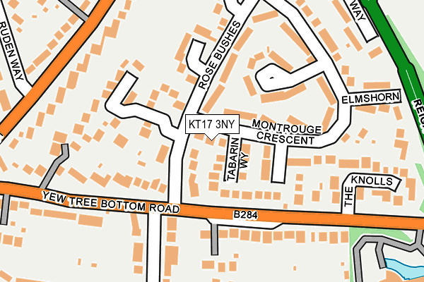 KT17 3NY map - OS OpenMap – Local (Ordnance Survey)