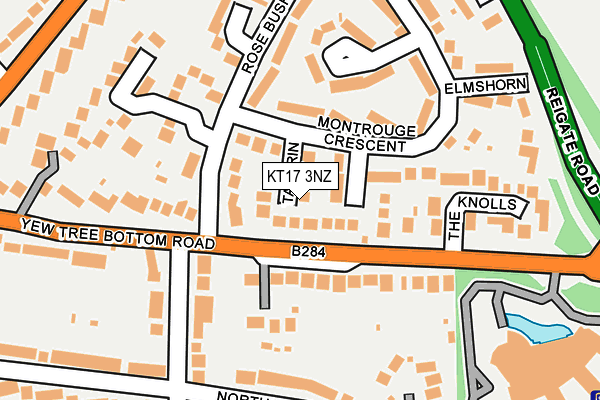 KT17 3NZ map - OS OpenMap – Local (Ordnance Survey)