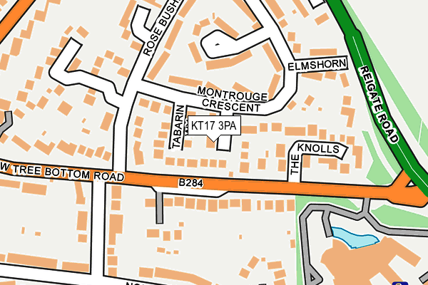 KT17 3PA map - OS OpenMap – Local (Ordnance Survey)